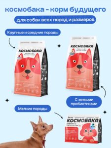 Эвтаназия бездомных животных. 2025 — итоги