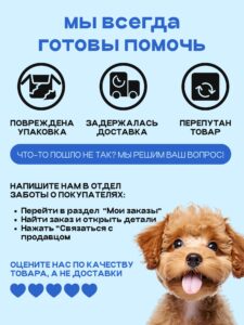 Эвтаназия бездомных животных. 2025 — итоги