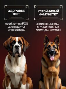 Корм сухой для собак «Cosmodog» для крупных и средних пород с говядиной с пробиотиком 2 кг