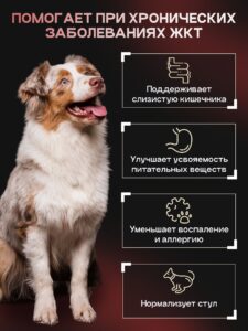 Корм сухой для собак «Cosmodog» для крупных и средних пород с говядиной с пробиотиком 5 кг