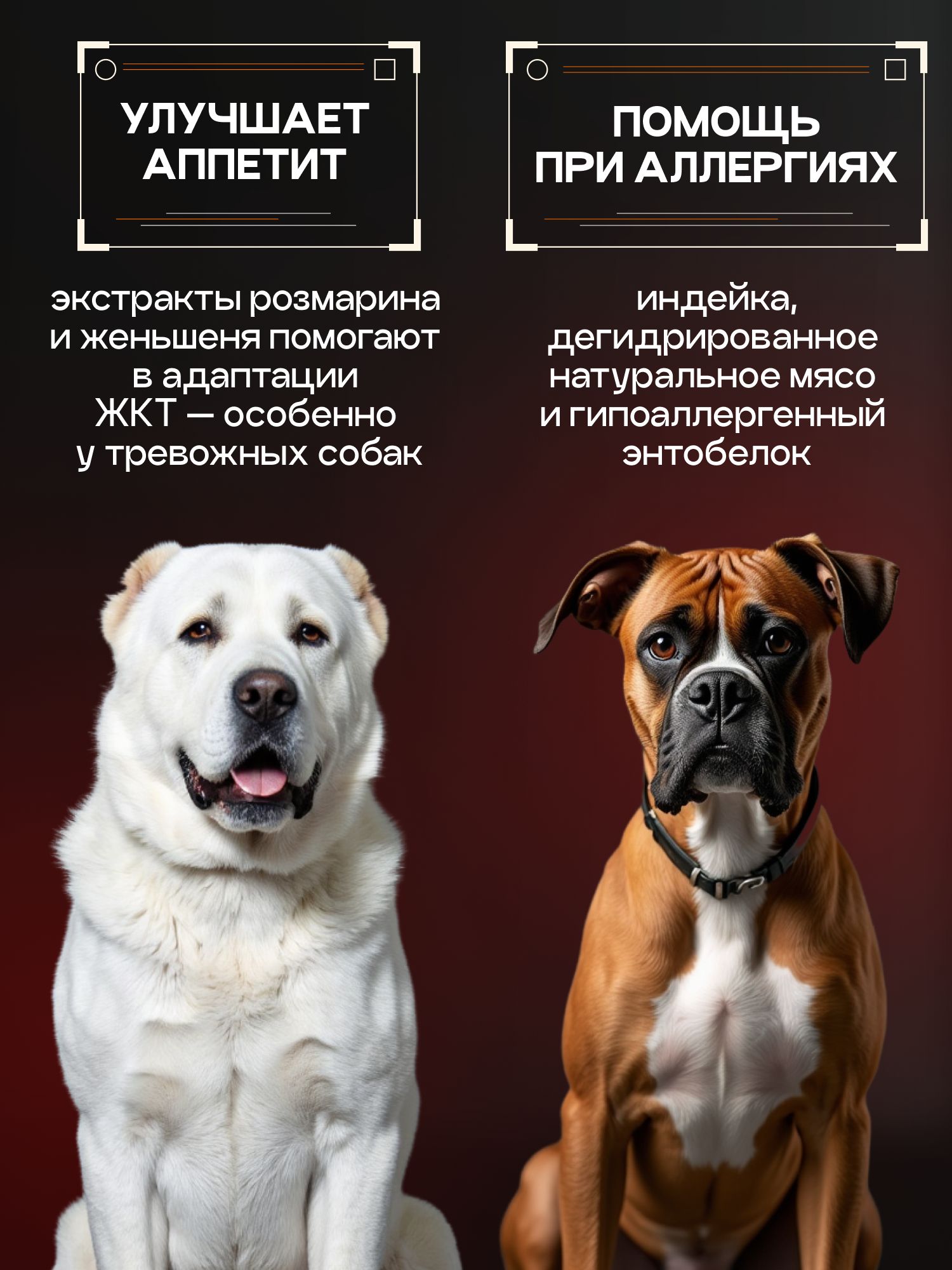 Корм сухой для собак «Cosmodog» для крупных и средних пород с говядиной с пробиотиком 5 кг