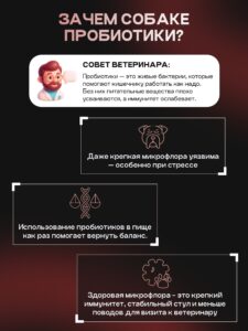 Корм сухой для собак «Cosmodog» для крупных и средних пород с говядиной с пробиотиком 10 кг