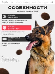 Корм сухой для собак «Cosmodog» для крупных и средних пород с индейкой 2 кг