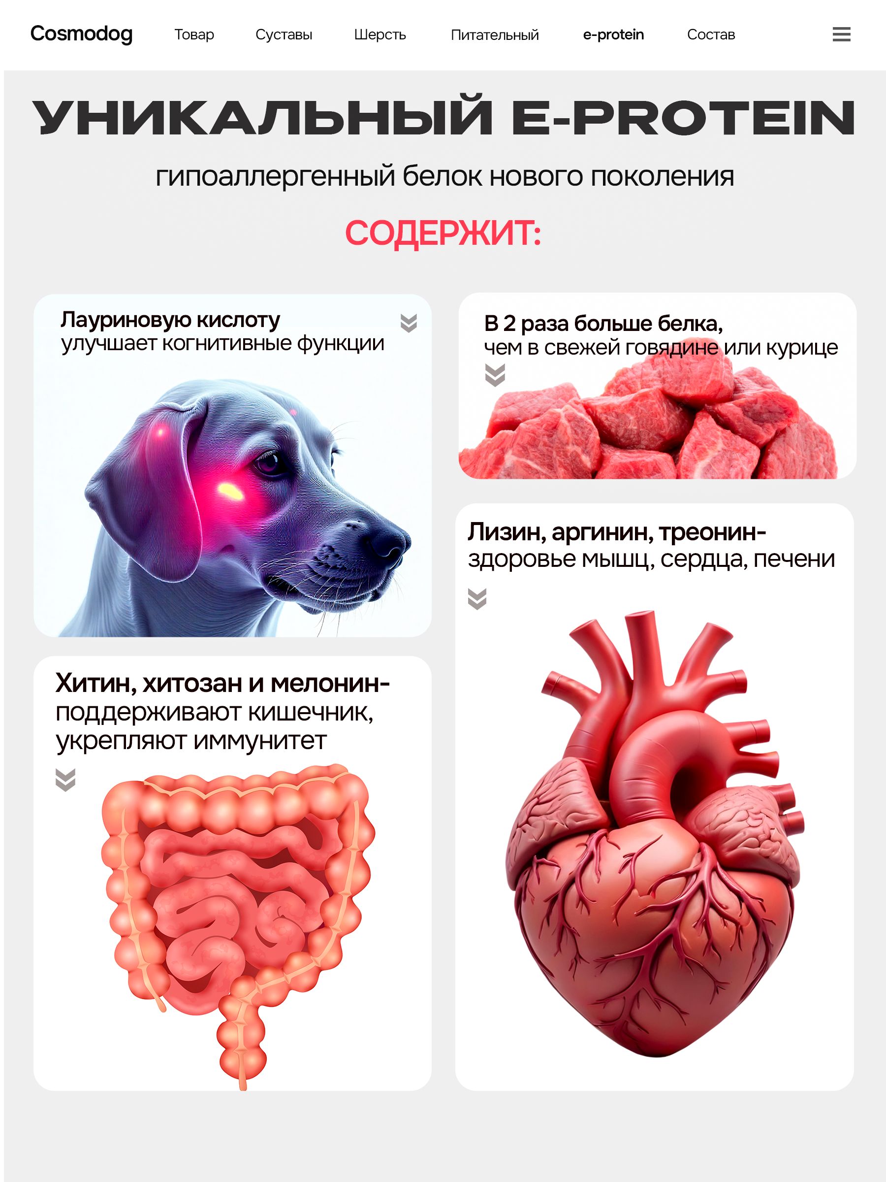 Корм сухой для собак «Cosmodog» для крупных и средних пород с индейкой 2 кг