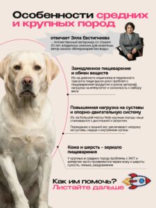 Корм сухой для собак «Cosmodog» для крупных и средних пород с индейкой 10 кг