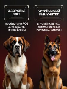 Корм сухой для собак «Cosmodog» для крупных и средних пород с индейкой с пробиотиком 5 кг