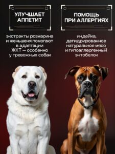 Страх, ненависть и любовь к насекомым
