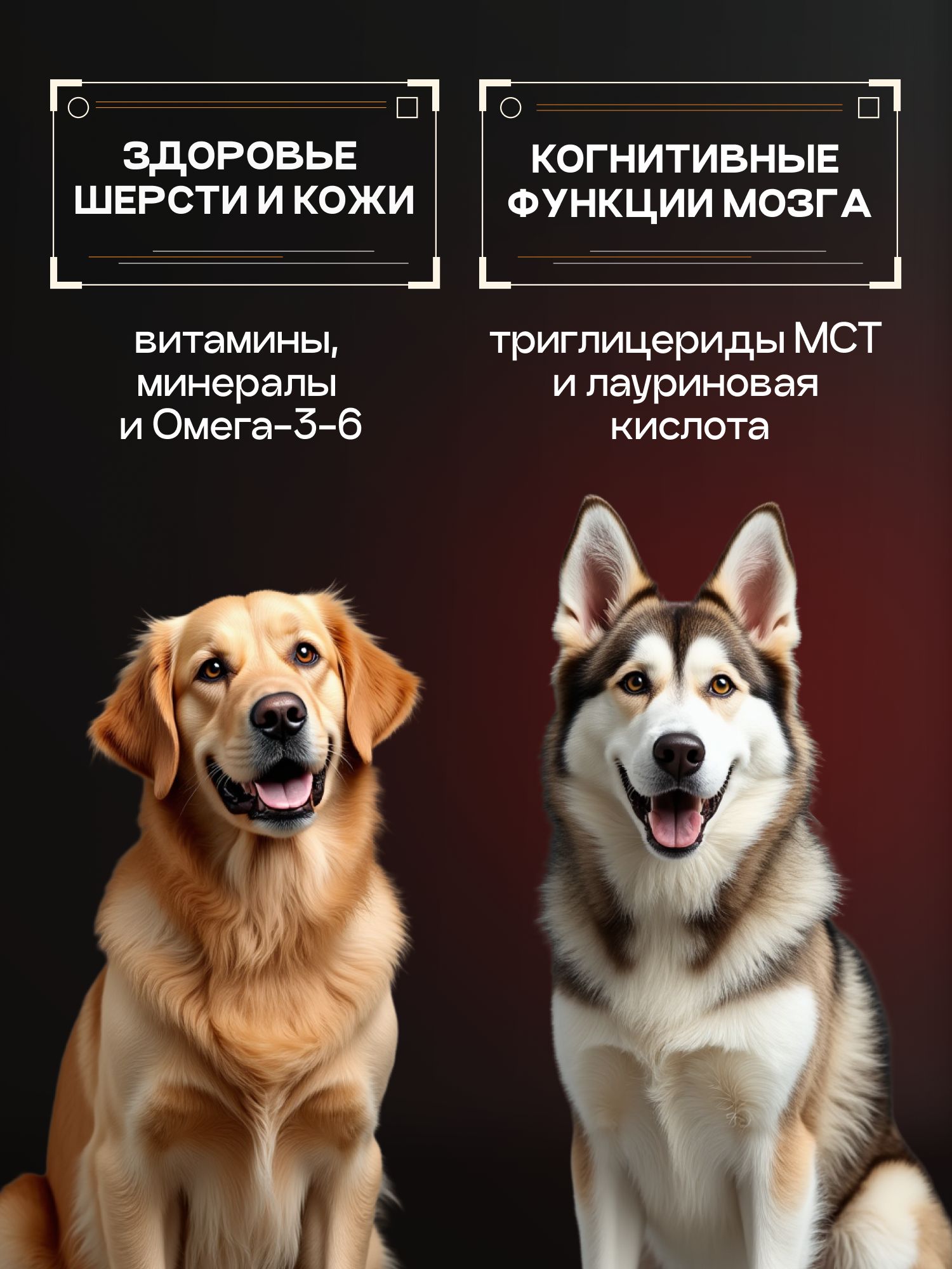 Корм сухой для собак «Cosmodog» для крупных и средних пород с индейкой с пробиотиком 5 кг