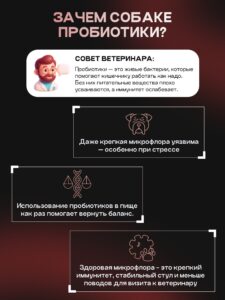 Корм сухой для собак «Cosmodog» для крупных и средних пород с индейкой с пробиотиком 10 кг