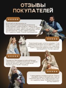Корм сухой для собак «Cosmodog» для крупных и средних пород с ягненком 5 кг