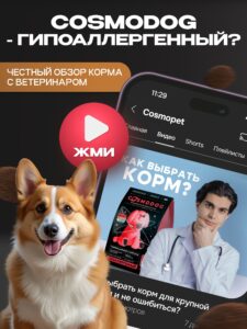 Корм сухой для собак «Cosmodog» для крупных и средних пород с ягненком 10 кг