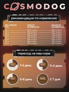 Аллергия на корм у кошек: как распознать и что делать?