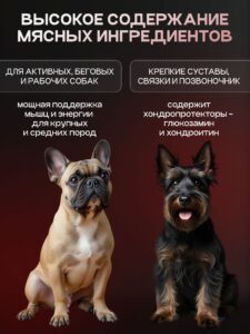 Корм сухой для собак «Cosmodog» для мелких пород с индейкой с пробиотиком 0.8 кг