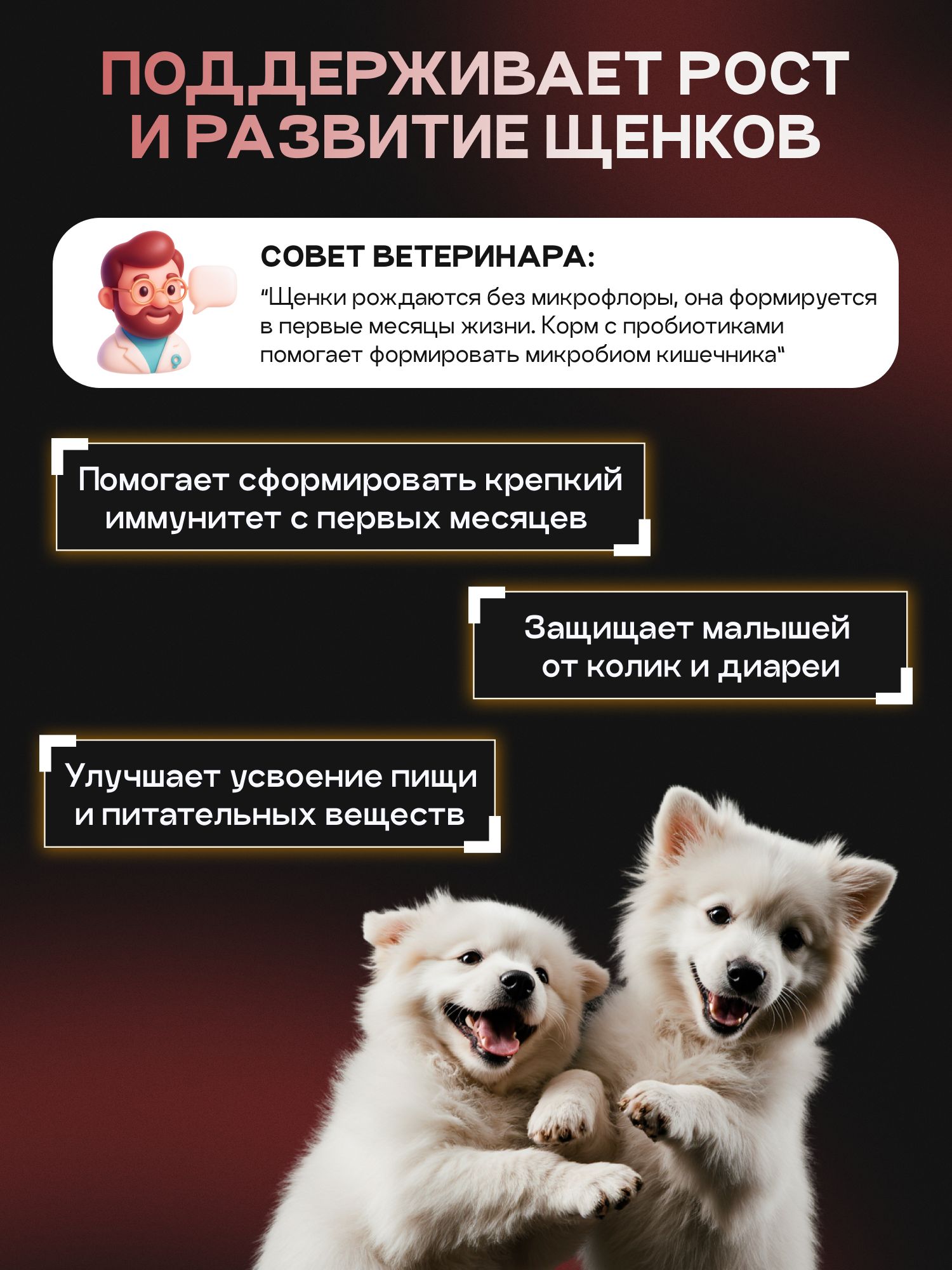 Корм сухой для собак «Cosmodog» для мелких пород с индейкой с пробиотиком 2 кг