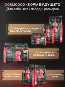 Четвероногие космонавты: как животные прокладывали путь к звёздам и что они там ели