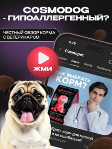 Корм сухой для собак «Cosmodog» для мелких пород с рыбой 2 кг