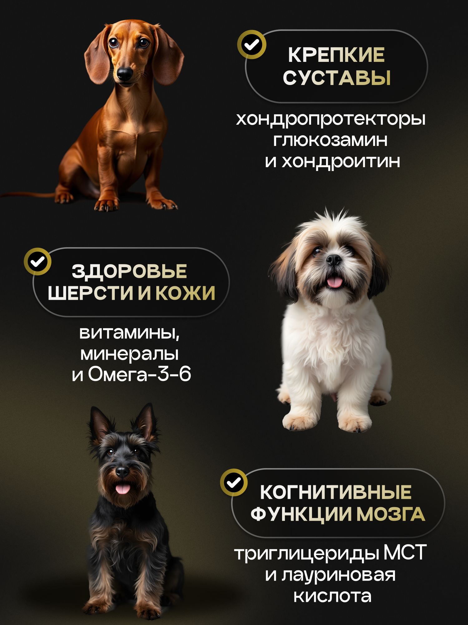 Корм сухой для собак «Cosmodog» для мелких пород с ягненком 2 кг