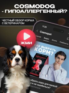 Корм сухой для собак «Cosmodog» для мелких пород с ягненком 10 кг