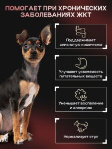 Корм сухой для собак «Cosmodog» для мелких пород с ягненком с пробиотиком 2 кг