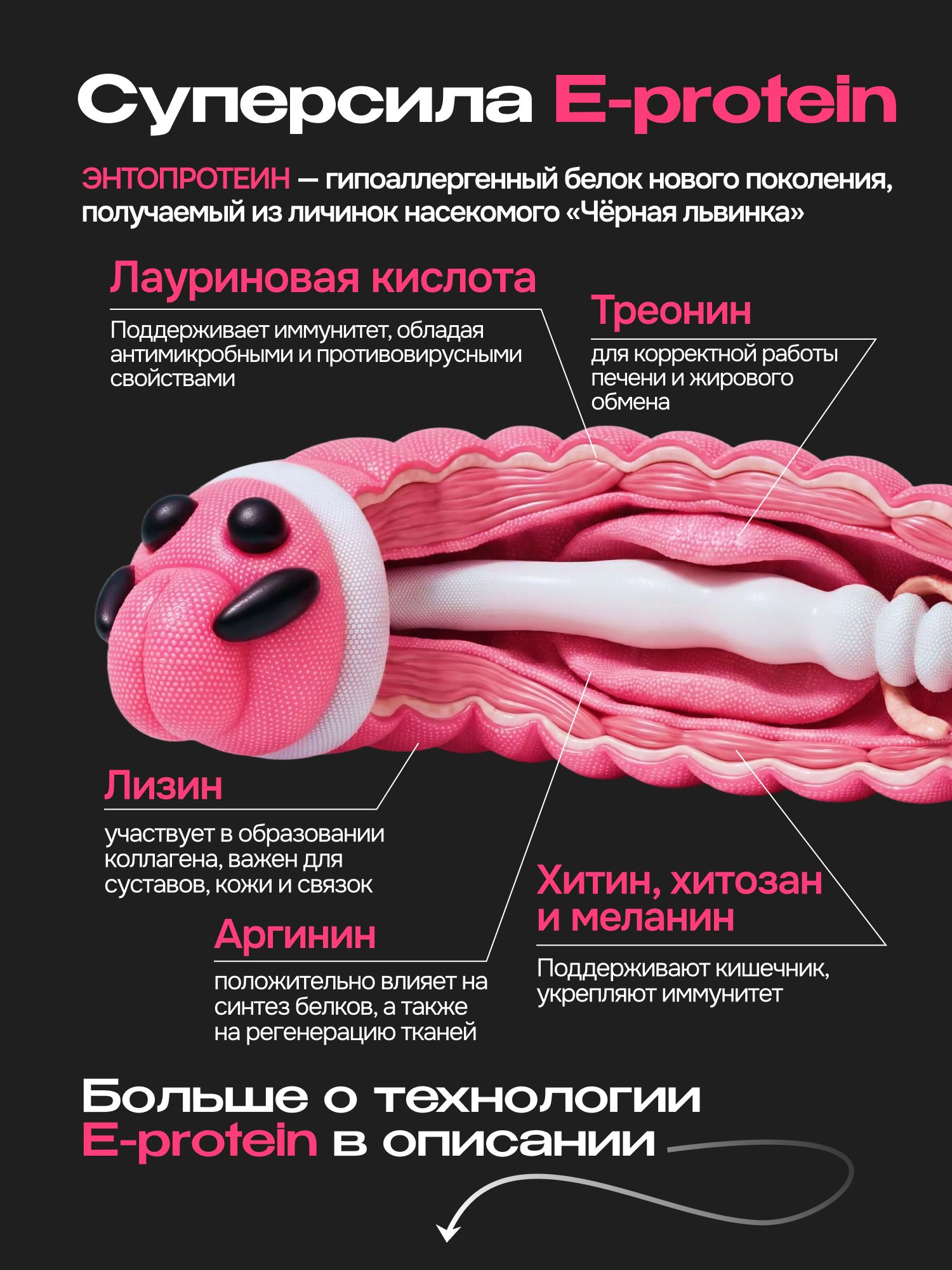 Корм сухой для собак «Cosmodog» для мелких пород с говядиной 2 кг