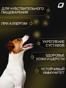 Корм сухой для собак «Cosmodog» для мелких пород с говядиной 5 кг