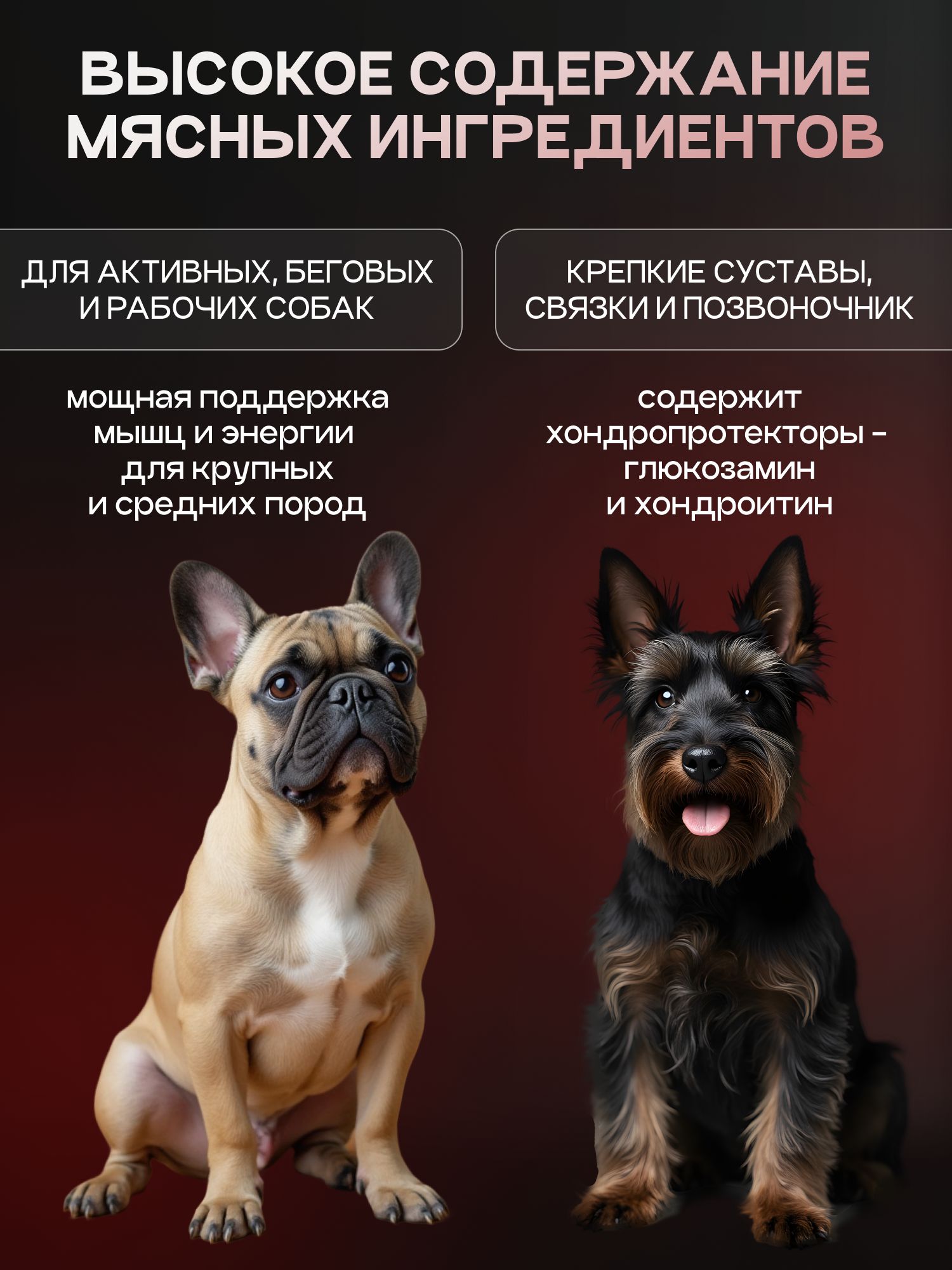 Корм сухой для собак «Cosmodog» для мелких пород с говядиной с пробиотиком 0.8 кг