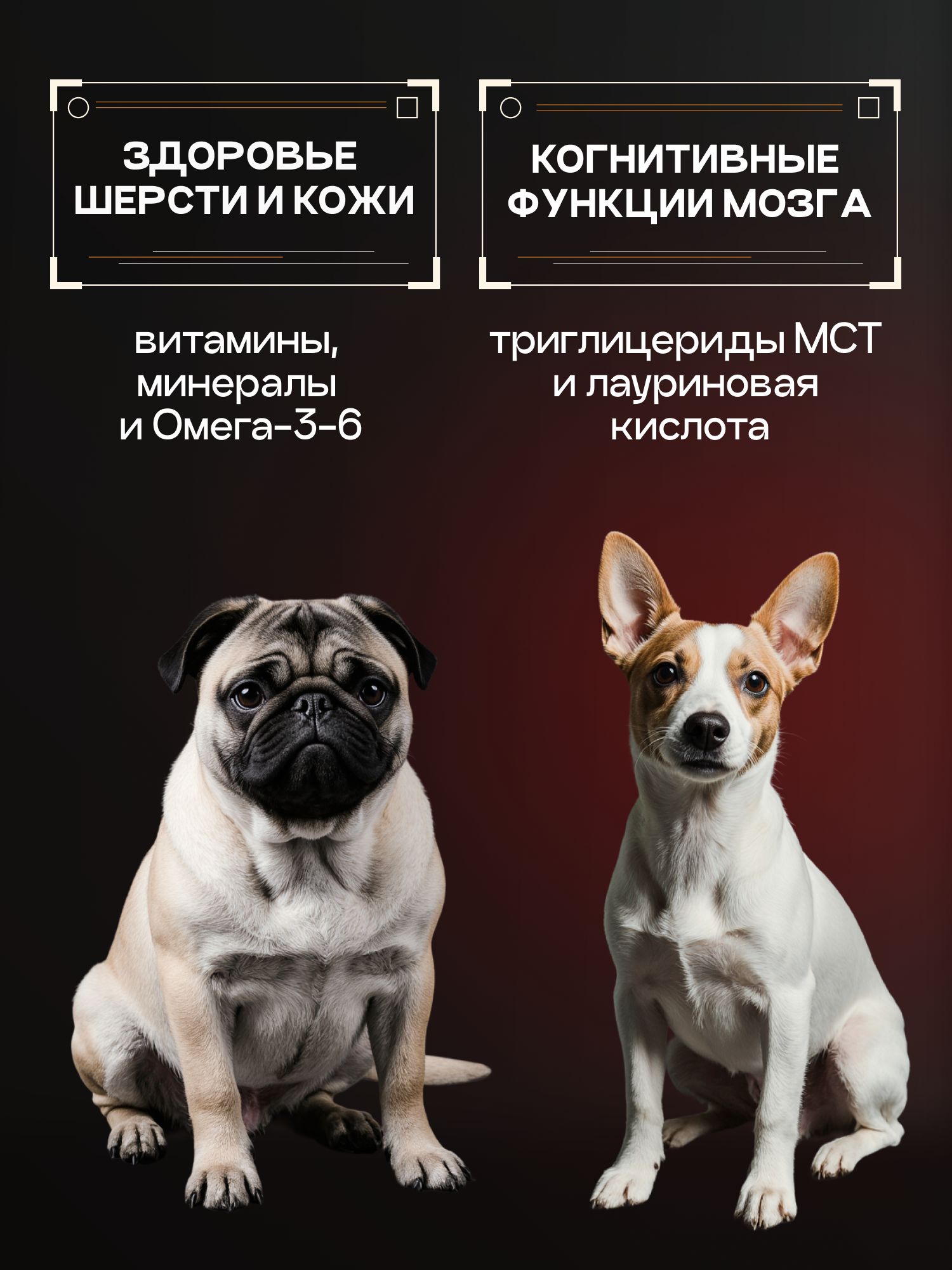 Корм сухой для собак «Cosmodog» для мелких пород с говядиной с пробиотиком 2 кг