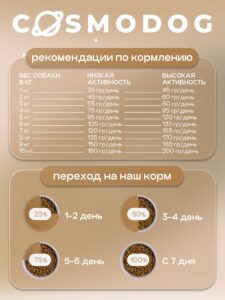 Аллергия на корм у собак: как распознать и что делать?