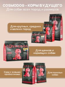 Аллергия на корм у собак: как распознать и что делать?