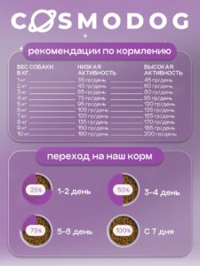 Холистик для кошек: зачем он нужен вашему усатому-полосатому
