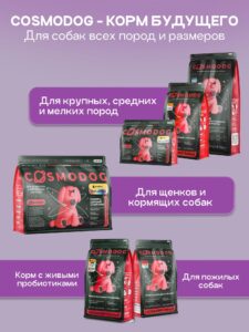 Кошки и вода: пить или не пить