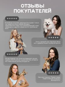 Корм сухой для собак «Cosmodog» для мини пород с ягненком 2 кг