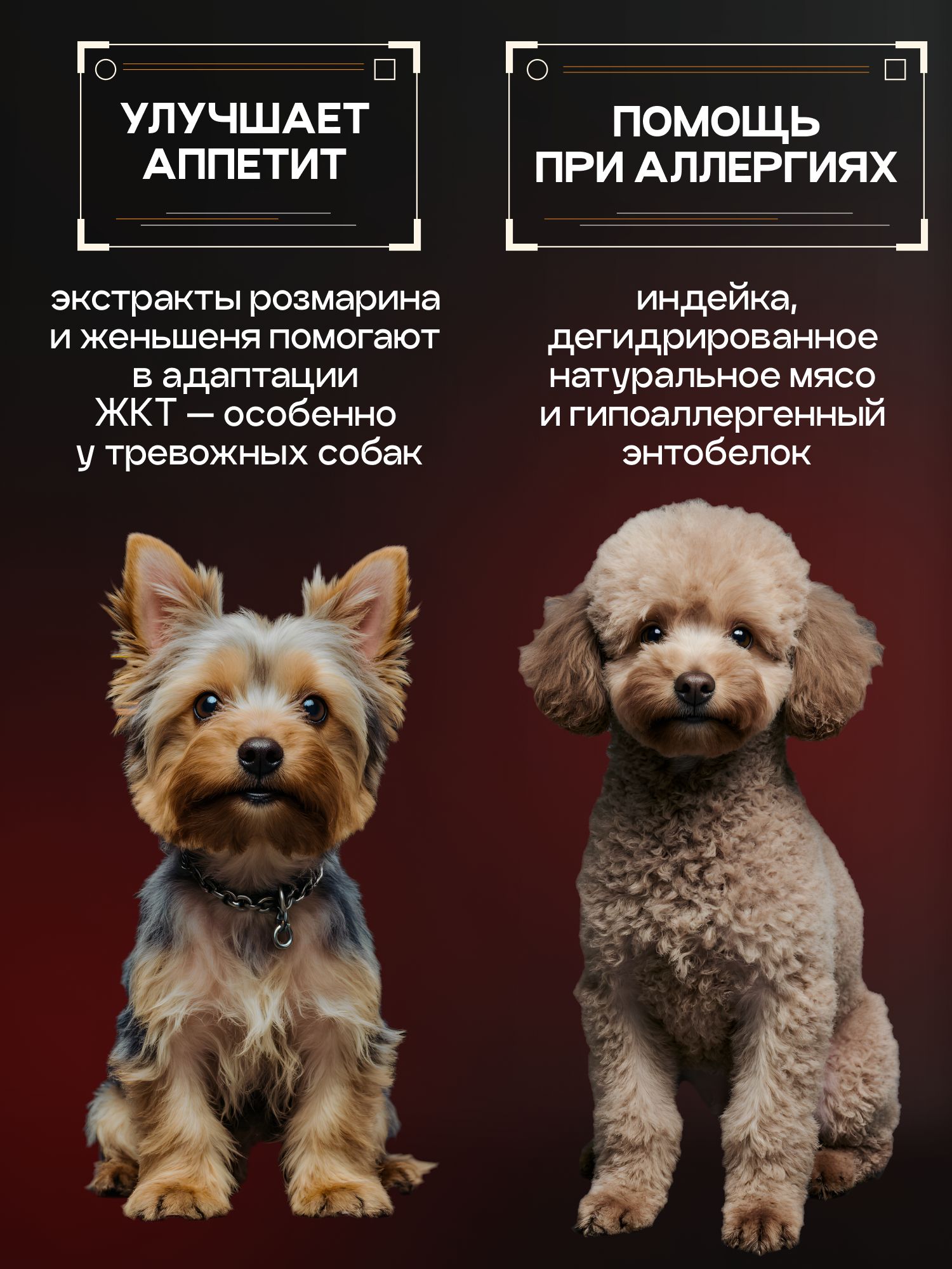 Корм сухой для собак «Cosmodog» для мини пород с ягненком с пробиотиком 2 кг
