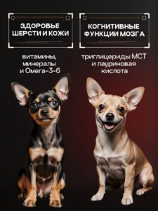 Корм сухой для собак «Cosmodog» для мини пород с ягненком с пробиотиком 2 кг