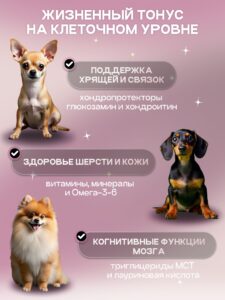 Корм сухой для собак «Cosmodog» для мини пород с говядиной 0.8 кг
