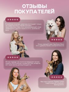 Корм сухой для собак «Cosmodog» для мини пород с говядиной 2 кг