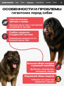 Корм сухой для собак «Cosmodog» для гигантских пород с индейкой 10 кг