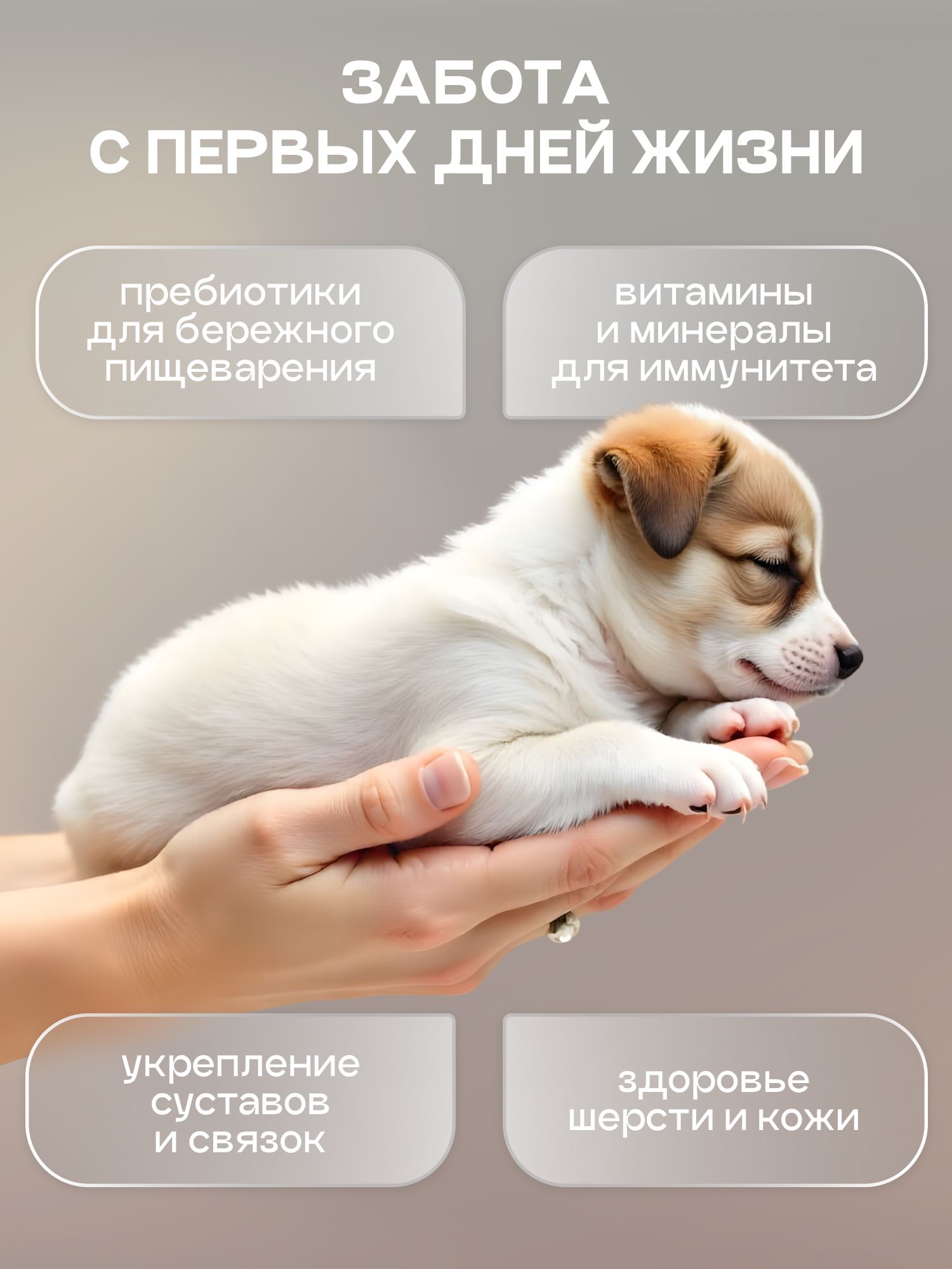 Корм сухой для собак «Cosmodog» для щенков с ягненком 2 кг
