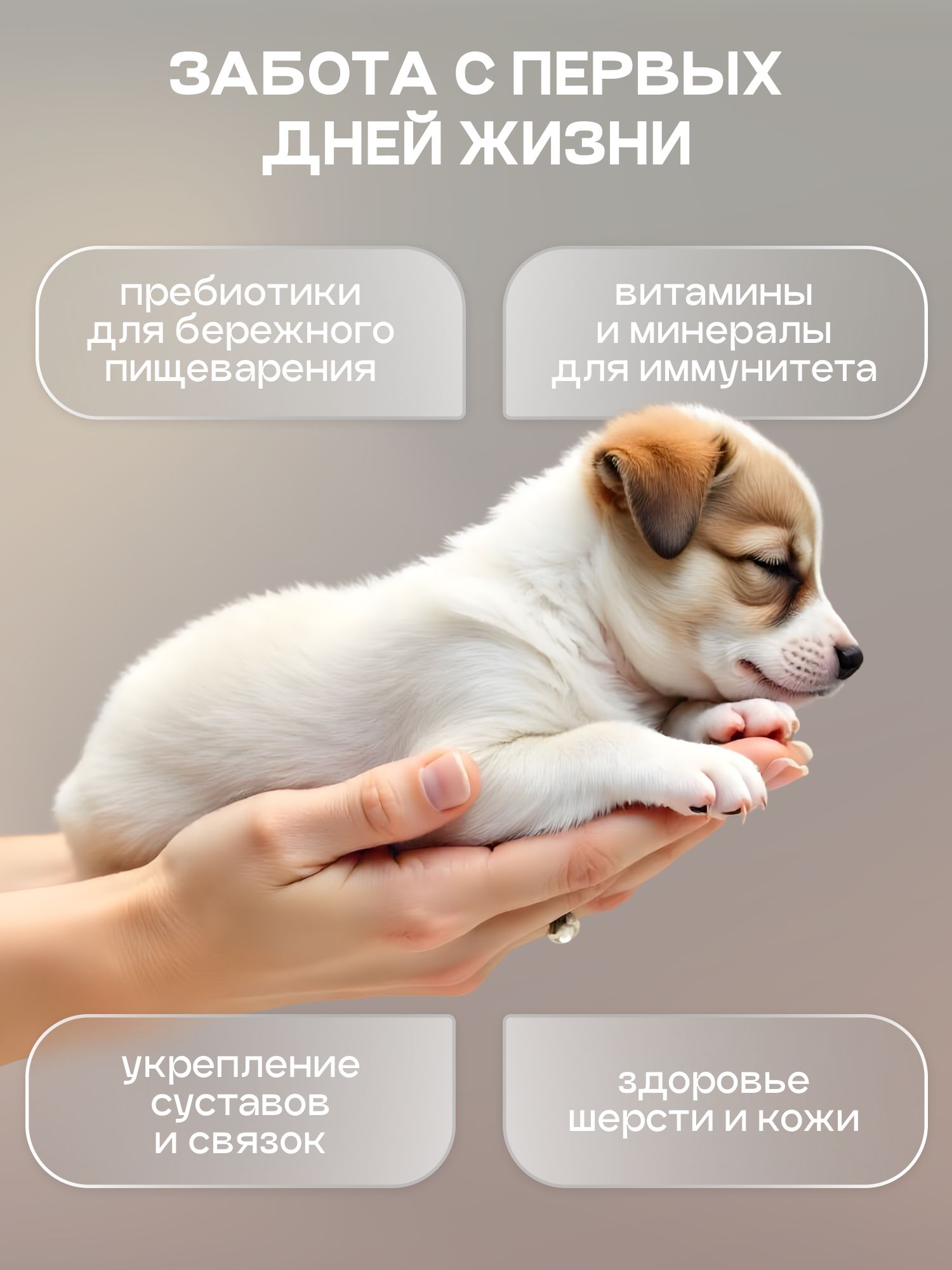 Корм сухой для собак «Cosmodog» для щенков с говядиной 2 кг