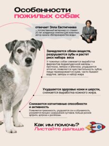 Корм сухой для собак «Cosmodog» Senior 7+ с ягненком 2 кг