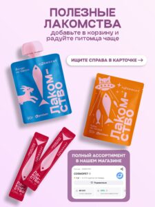 Лучшие корма для собак премиум и супер-премиум класса: рейтинг, список и обзор российских брендов