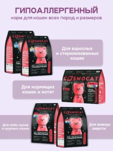 «В добрые руки»: Как Avito стал серой зоной между домом, приютом и улицей