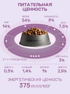 Белка и Стрелка: правда о космических собаках