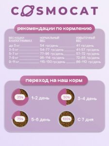 Белка и Стрелка: правда о космических собаках