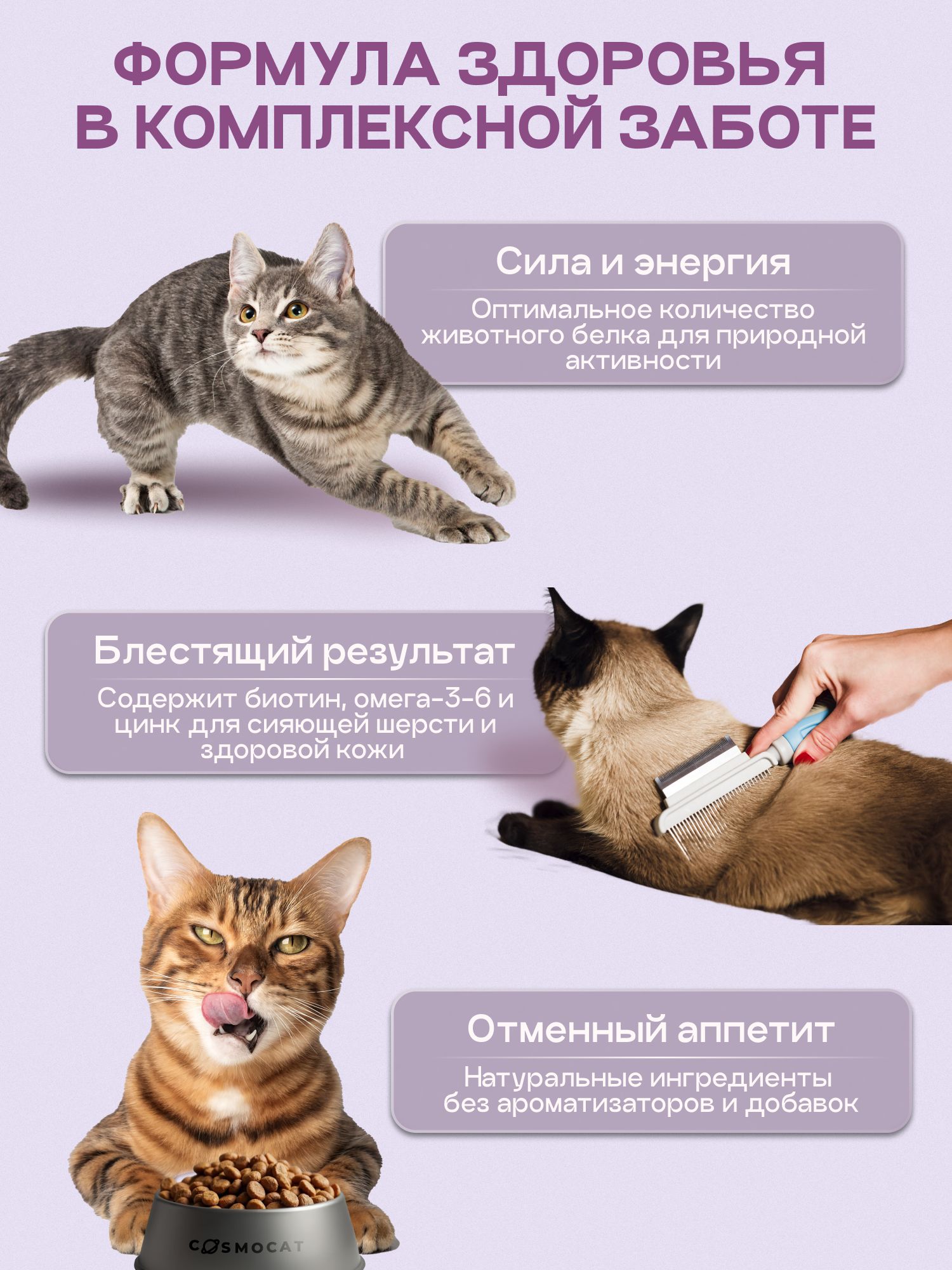Корм сухой для кошек «Cosmocat» с ягненком 0.8 кг