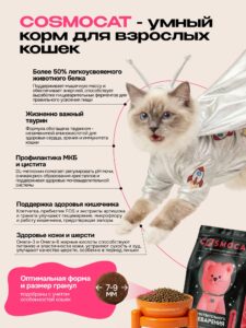 Дела кошачьи: виды наполнителей, их плюсы и минусы