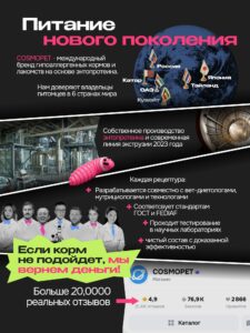 Дела кошачьи: виды наполнителей, их плюсы и минусы