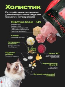 Дела кошачьи: виды наполнителей, их плюсы и минусы