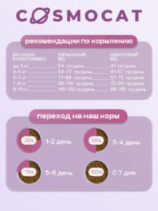 Что такое холистик-корм для собак и как выбрать лучший