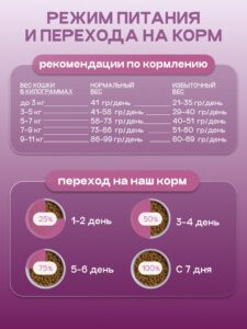 Эмоциональный бунт или осмысленный протест? Почему кошки игнорируют лоток